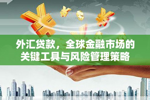 建瓯外汇贷款，全球金融市场的关键工具与风险管理策略