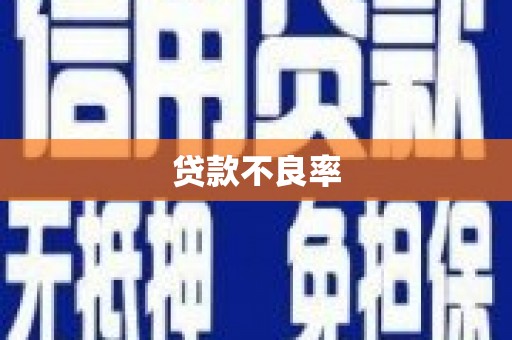 建瓯贷款不良率