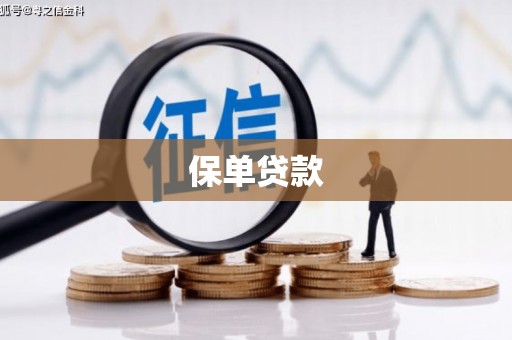 建瓯保单贷款