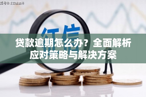 建瓯贷款逾期怎么办？全面解析应对策略与解决方案