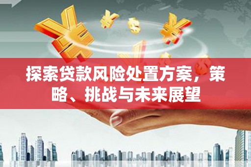 建瓯探索贷款风险处置方案，策略、挑战与未来展望