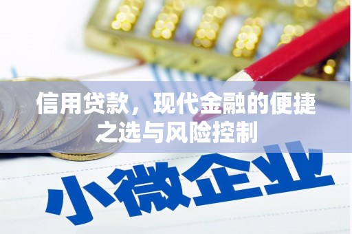 建瓯信用贷款，现代金融的便捷之选与风险控制