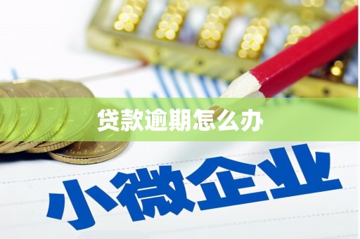 建瓯贷款逾期怎么办