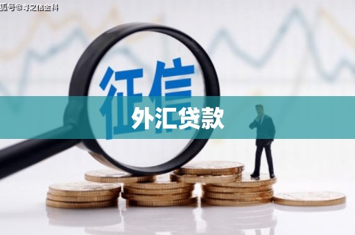 建瓯外汇贷款