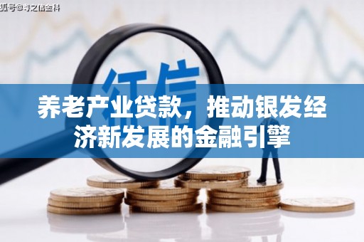建瓯养老产业贷款，推动银发经济新发展的金融引擎