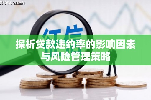 建瓯探析贷款违约率的影响因素与风险管理策略