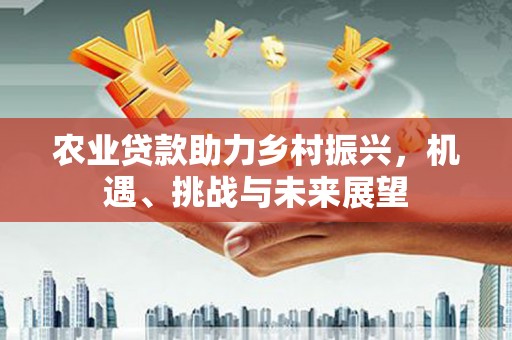 建瓯农业贷款助力乡村振兴，机遇、挑战与未来展望