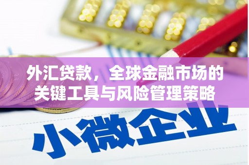 建瓯外汇贷款，全球金融市场的关键工具与风险管理策略