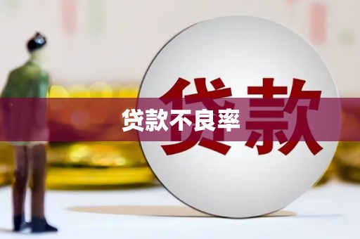 建瓯贷款不良率