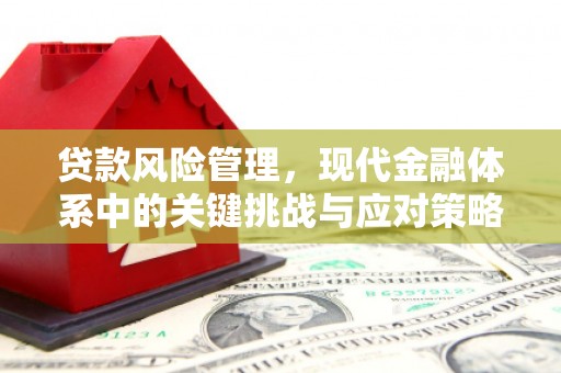建瓯贷款风险管理，现代金融体系中的关键挑战与应对策略