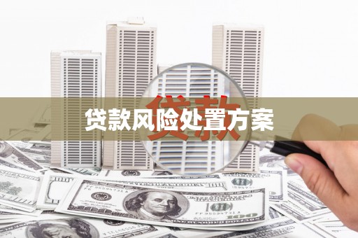 建瓯贷款风险处置方案
