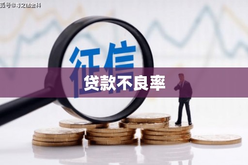 建瓯贷款不良率