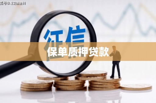 建瓯保单质押贷款