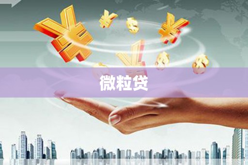 建瓯微粒贷
